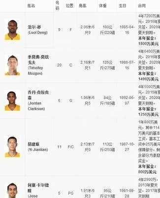 2016nba球队营收多少 2016年nba球员数据